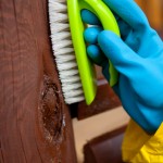 brush clean brush clean