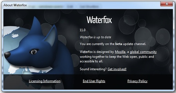 Waterfox Current G6.0.3 for windows instal free