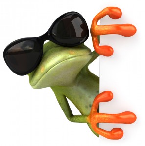cool frog sunglasses