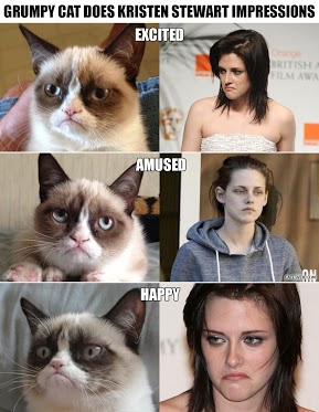 Grumpy Cat Impressions
