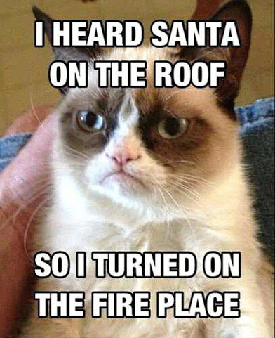 Grumpy Cat Santa roof