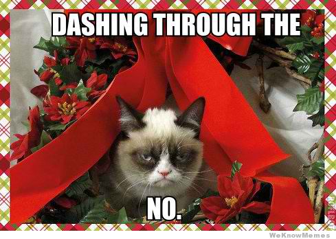 Grumpy-Cat-dashing-no.jpg