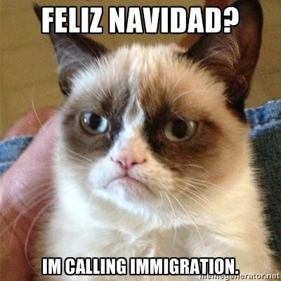Grumpy Cat immigration
