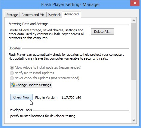 Update Flash Player Windows