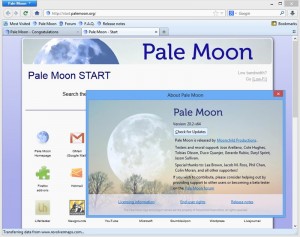 pale moon browser performance