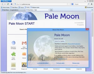 Pale Moon 32.3.1 download the new