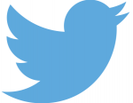 Twitter introduces custom timelines Twitter introduces custom timelines