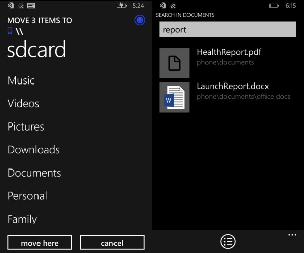 Windows Phone 8.1 File Manager Small 2
