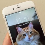 iPhone 6