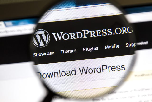 WordPress and other CMSs are 'inherently insecure'
