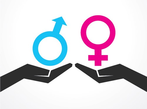 Forget male and female, Google+ now supports infinite gender identities
