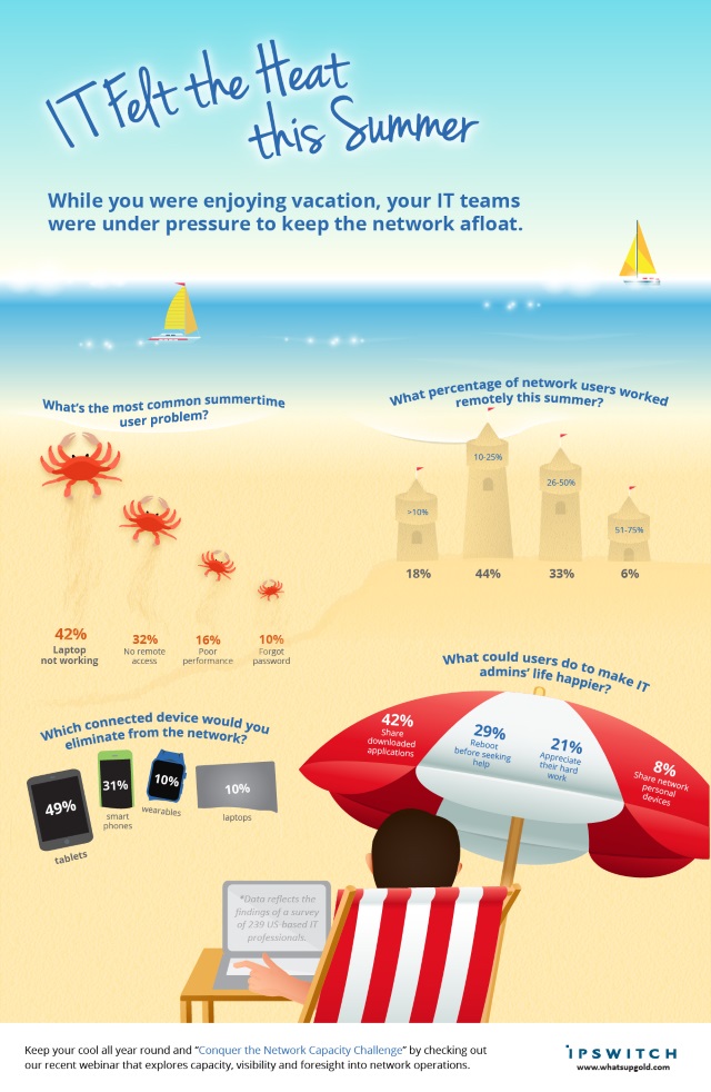 Summertime IT infographic