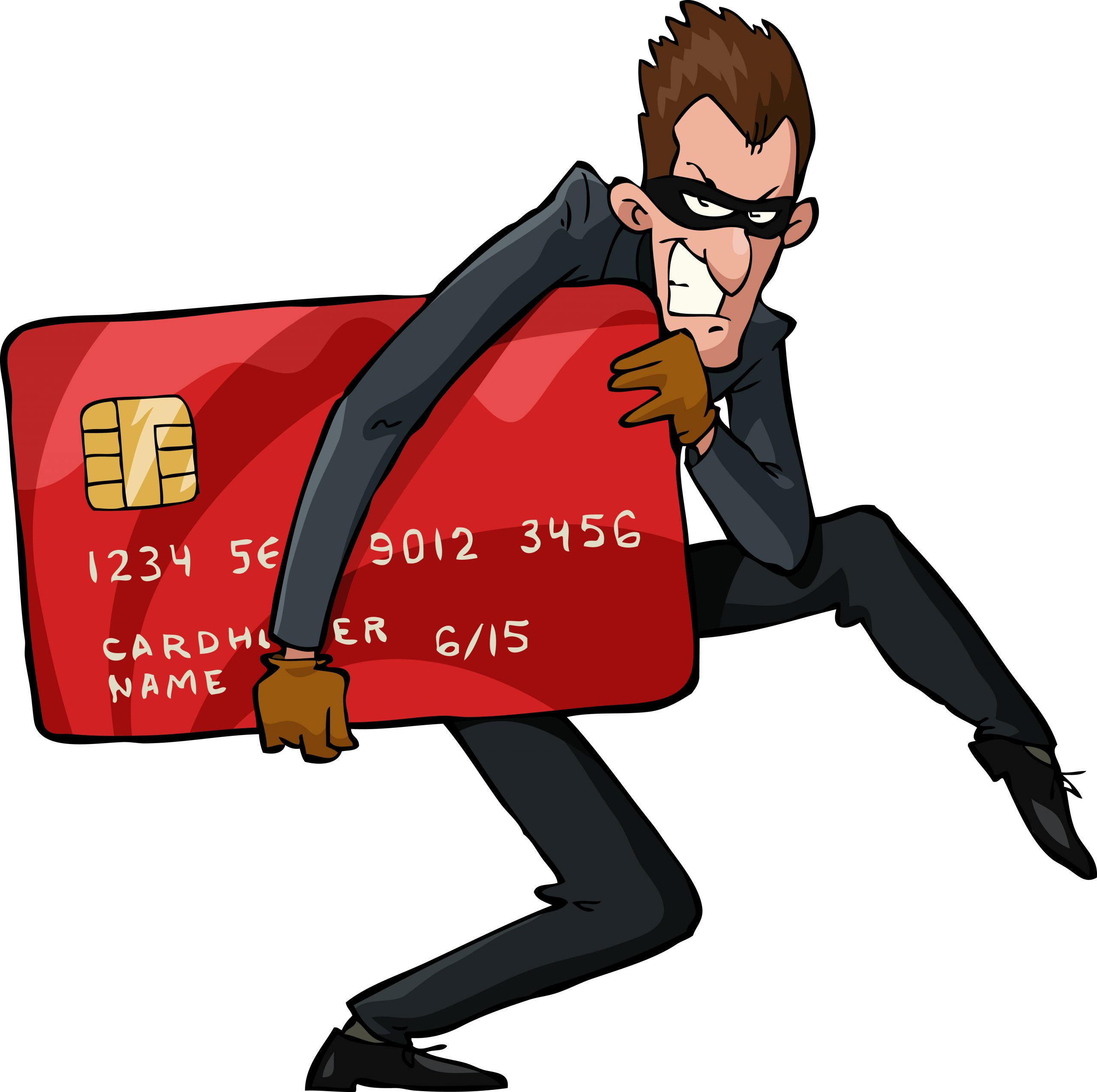 Punished credit card theft