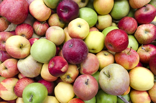 multi_colored_apples