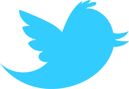 twitter bird