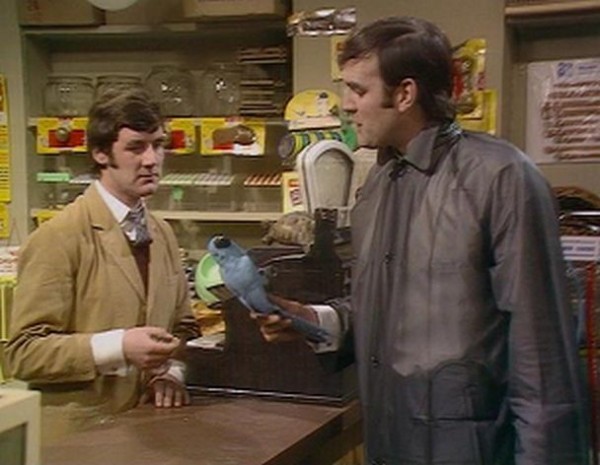 Monty Python Dead Parrot