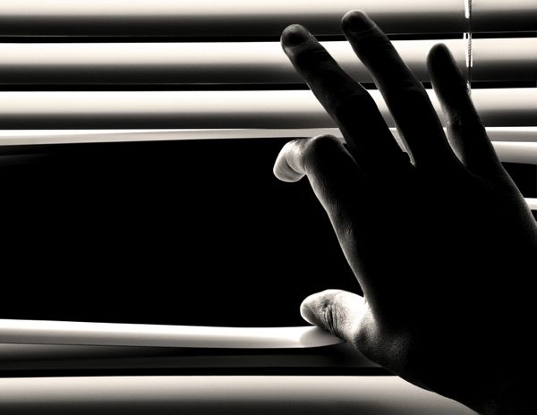blinds privacy peeking  (santiago cornejo, shutterstock)