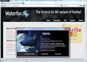 waterfox browser for windows 10 64 bit install