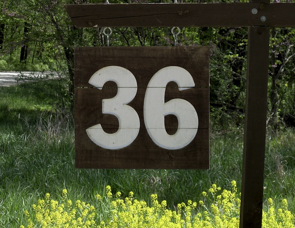 36