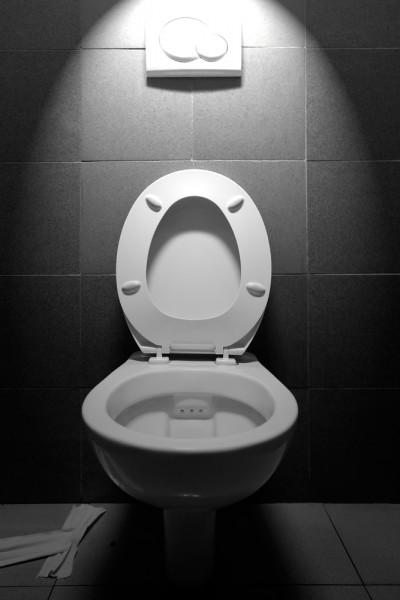 toilet