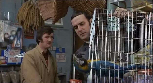 Monty Python Dead Parrot