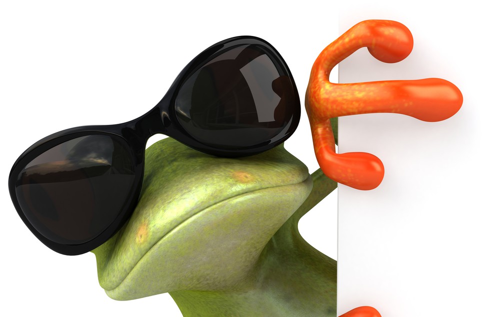 cool frog sunglasses