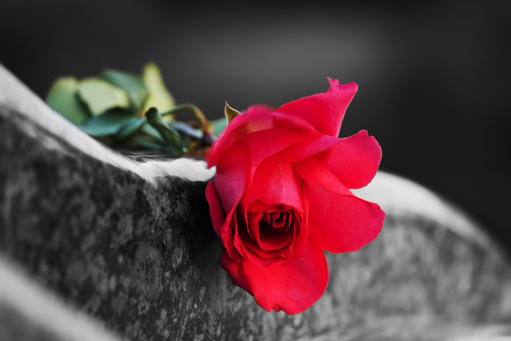 rose grave