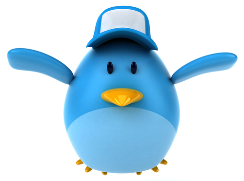Twitter bird