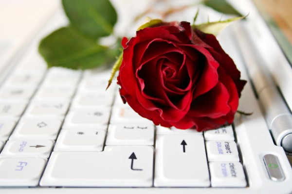 rose keyboard notebook laptop flower