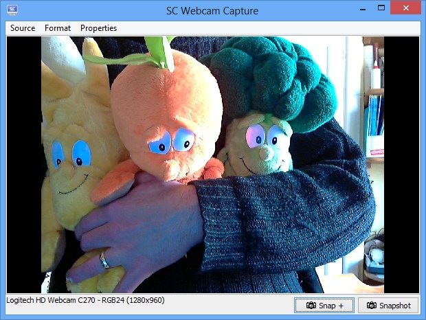 Screen Capture webcam