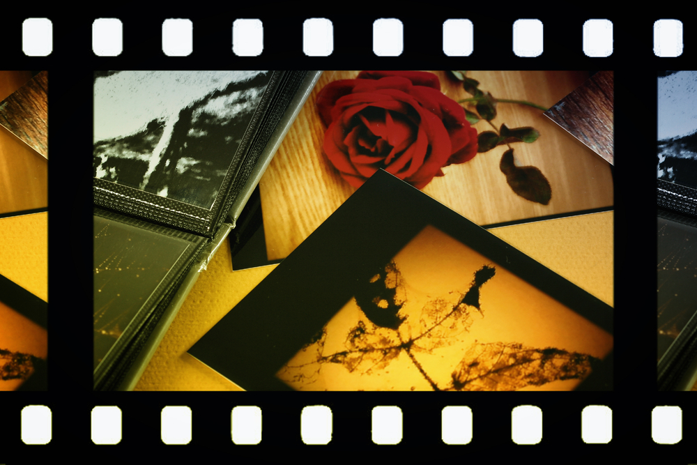 photo picture album filmstrip film