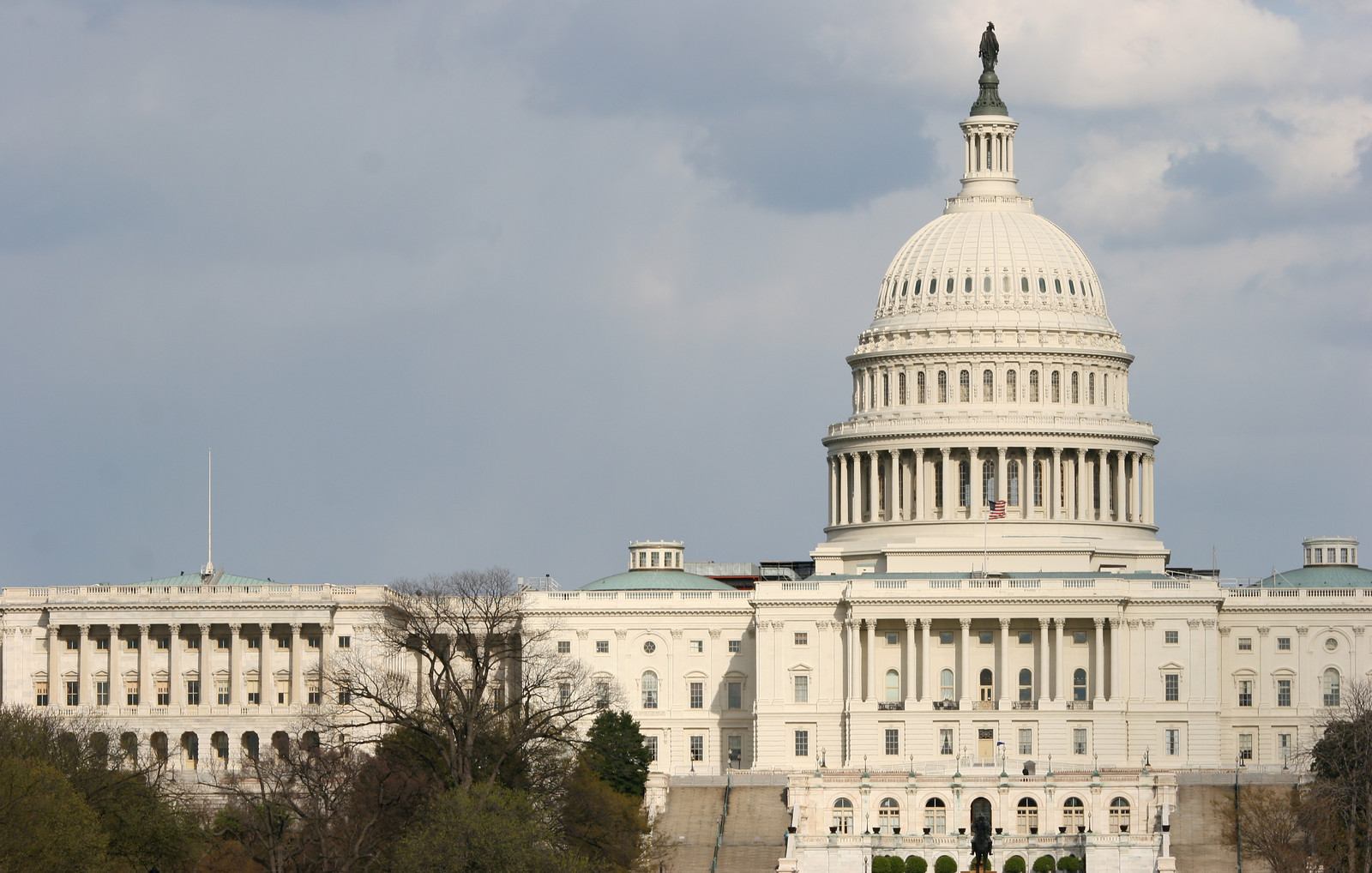 Virtual U.S. Congress: a practical, plausible way to save millions in waste