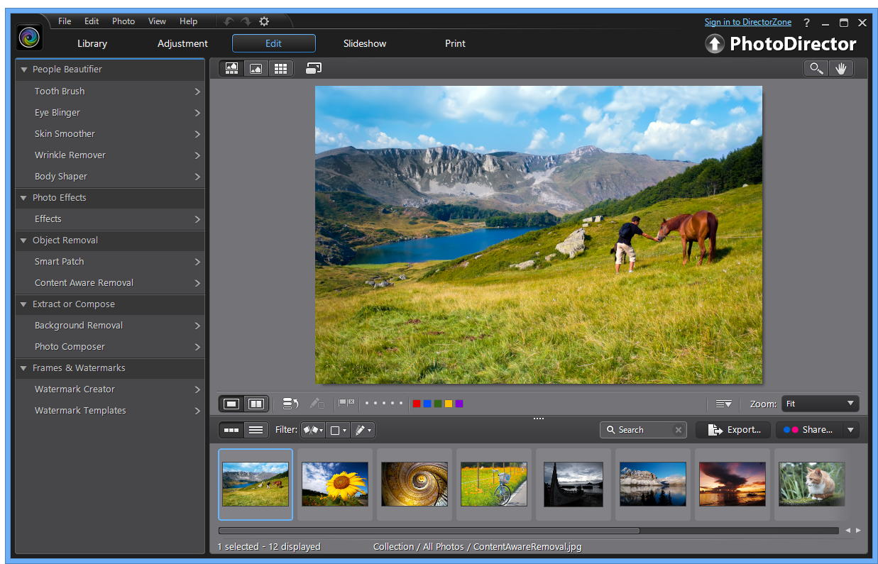 photodirector 7 review