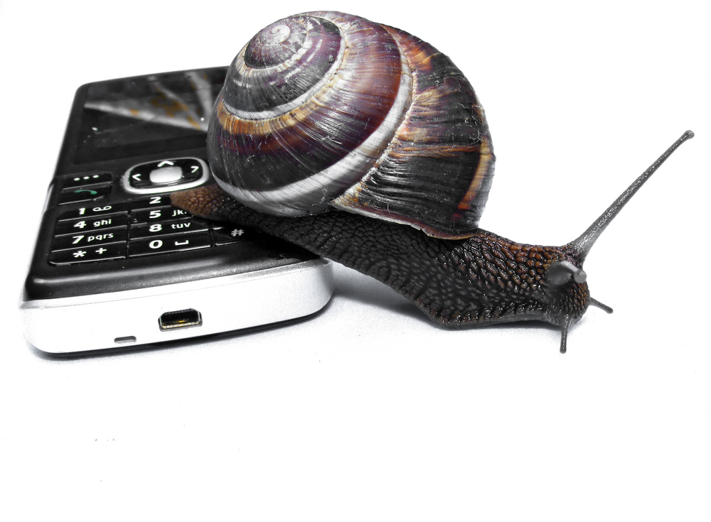 phone-snail