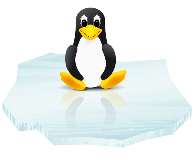 linux penguin