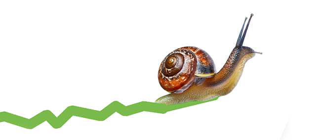 snail graph slow