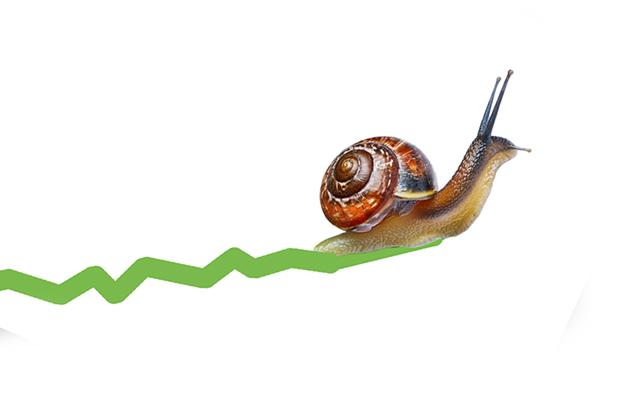 snail graph