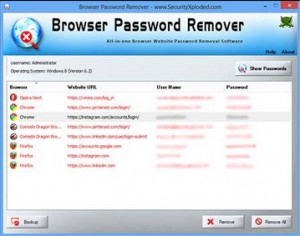 Browser Password Remover