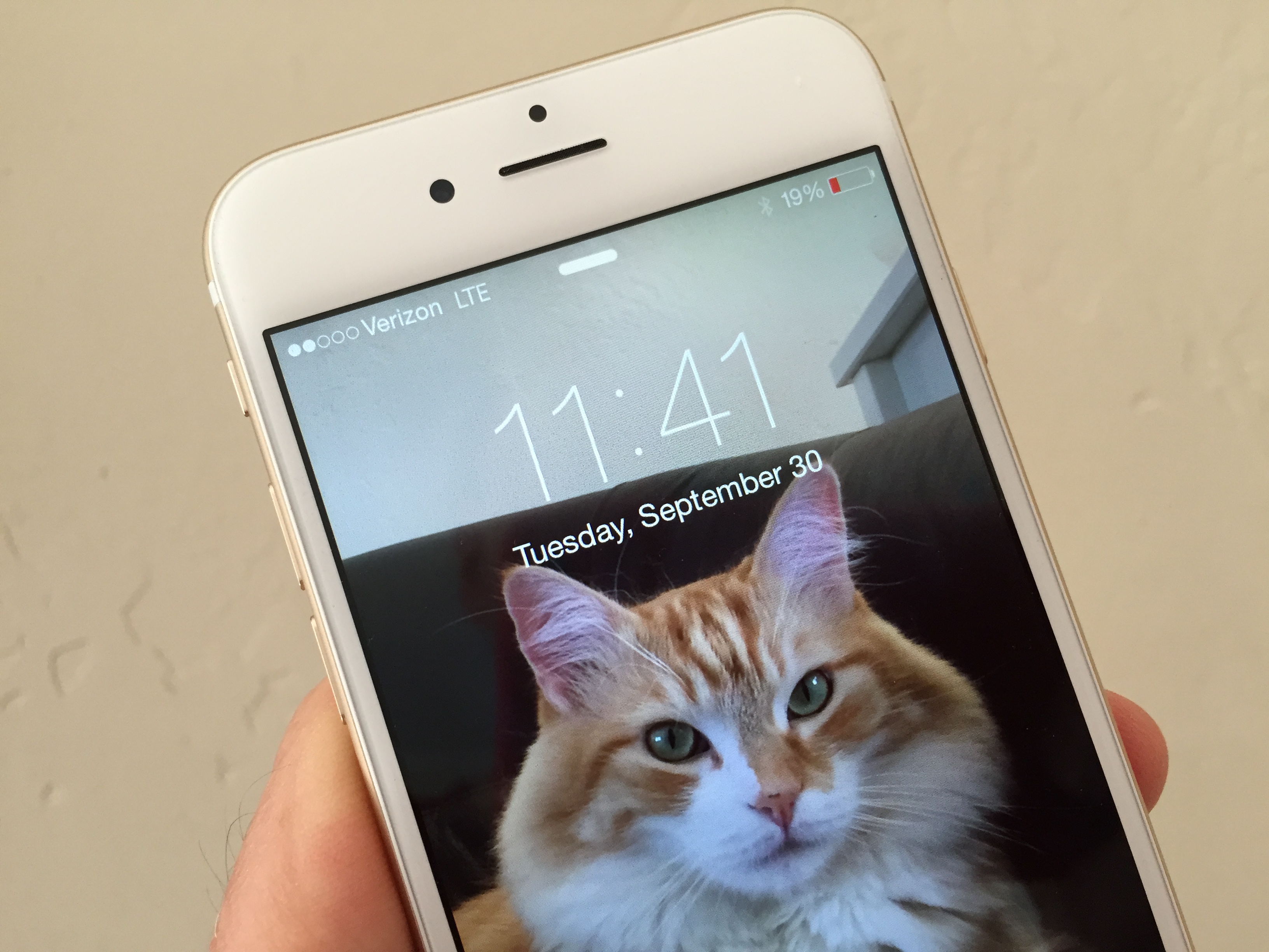 Mortal Abnormaal cursief iPhone 6: an honest review | BetaNews
