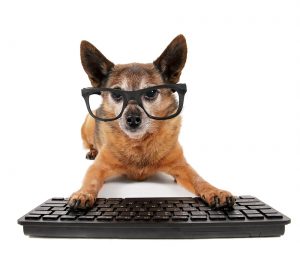 puppy linux ffmpeg puppy linux ffmpeg