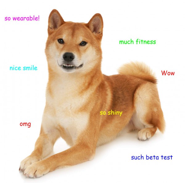 doge