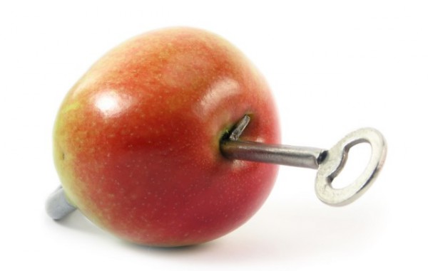 Apple security