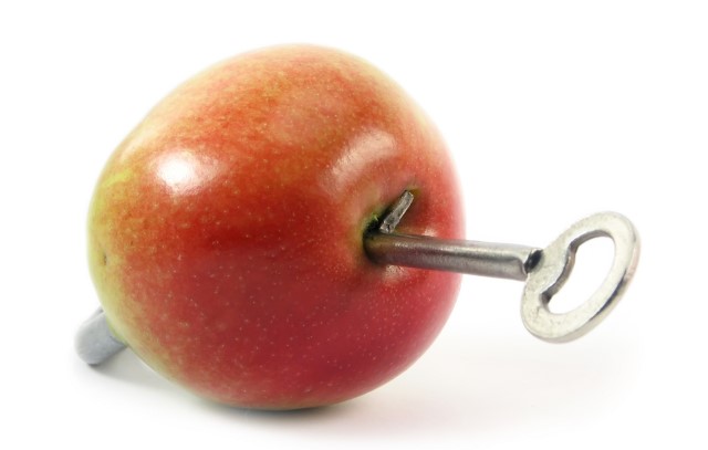 Apple key