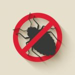 Google relaxes Project Zero bug disclosure policy after Microsoft complaints