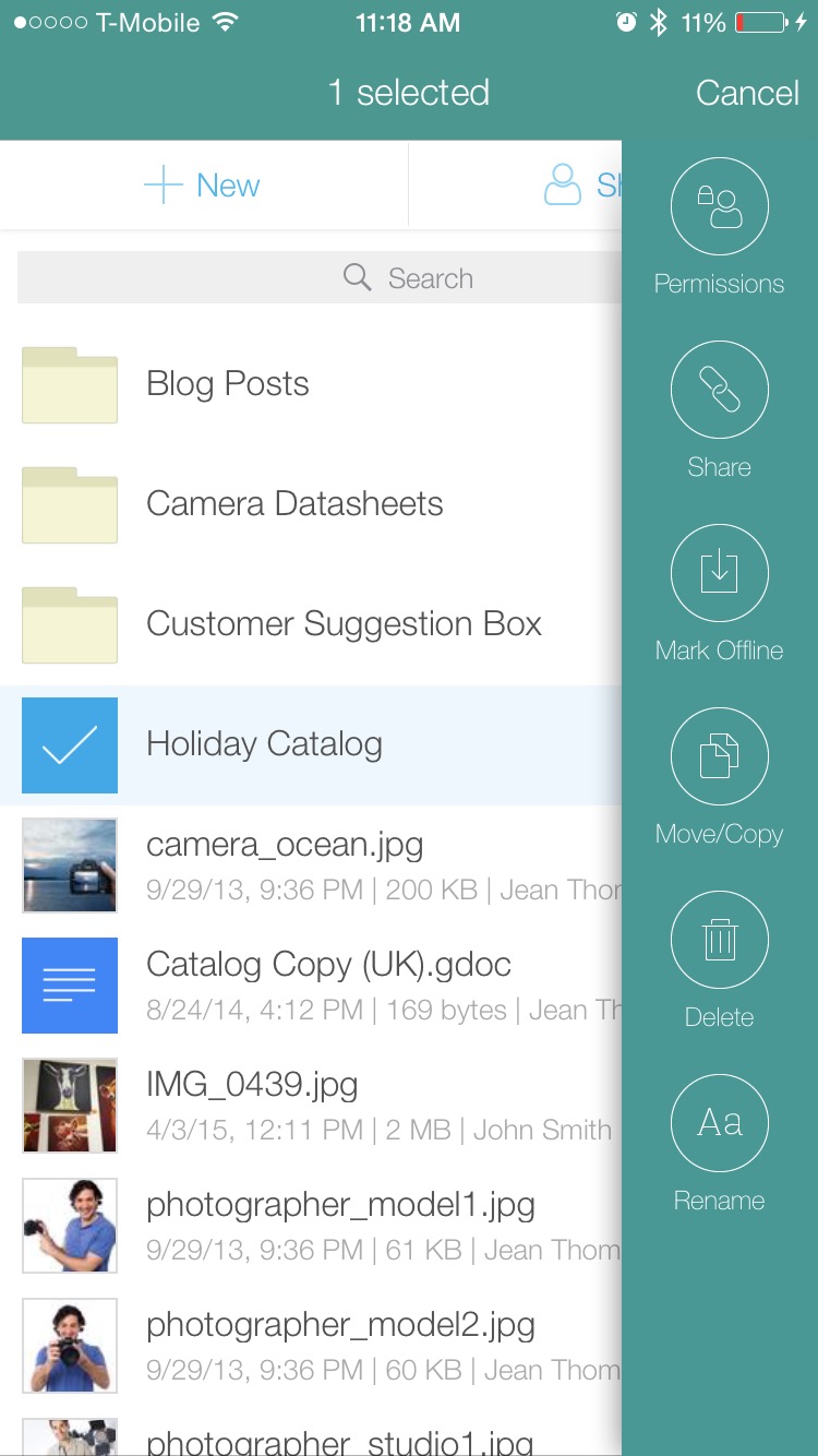 Egnyte iOS screen grab