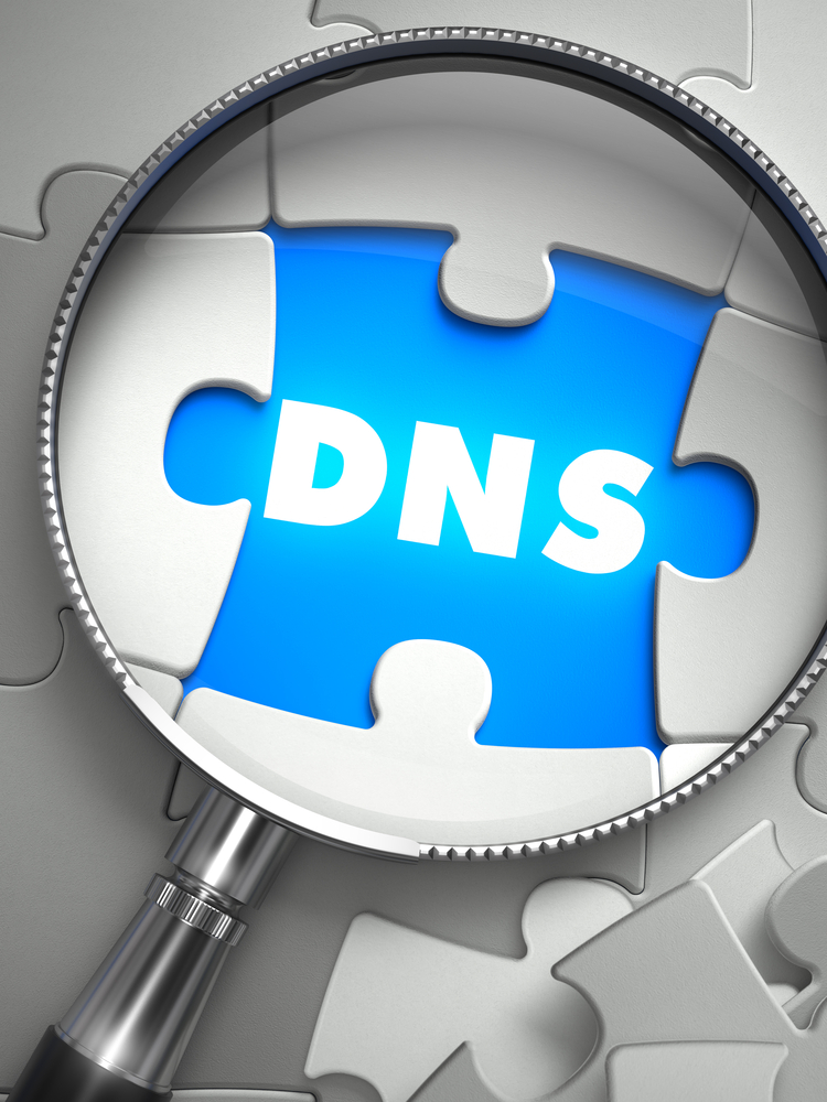 Forty percent of enterprise networks show evidence of DNS