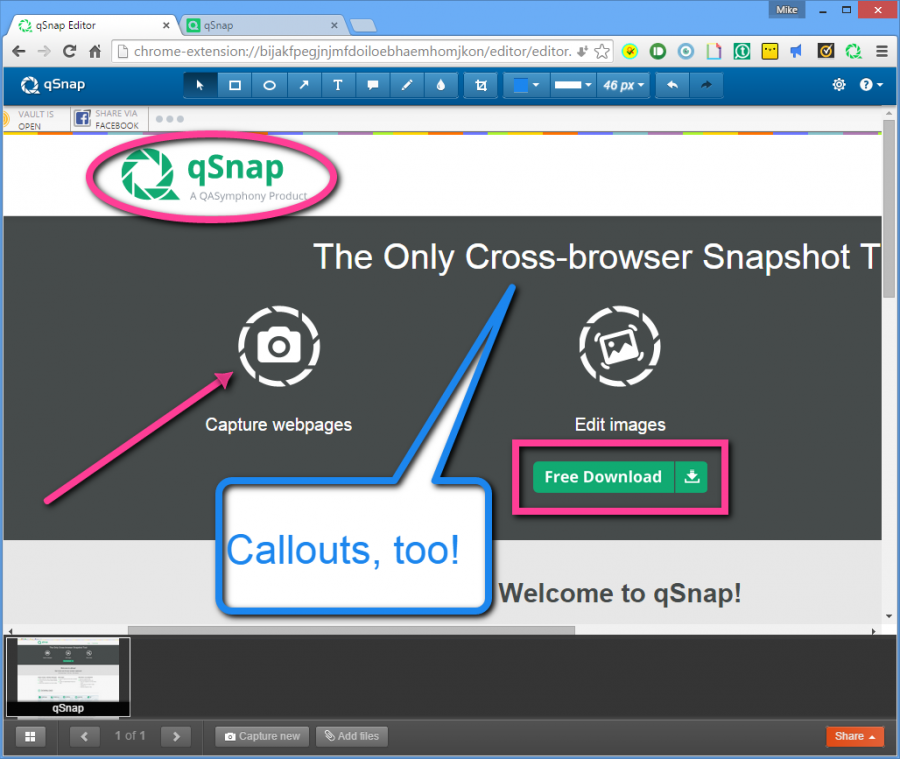 capture whole scrolled web page hypersnap