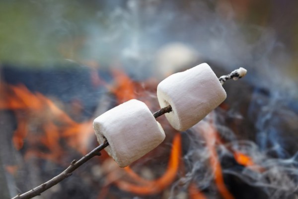 toasting_marshmallows