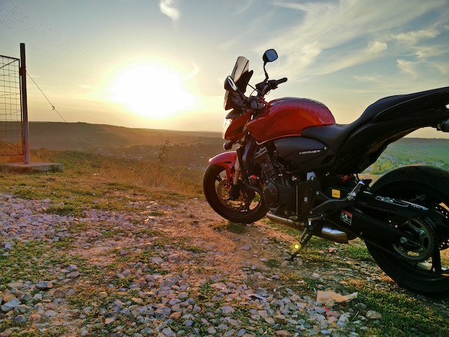 Awesome Honda CB600F Hornet Photo