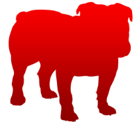 BullGuard2016-200-175